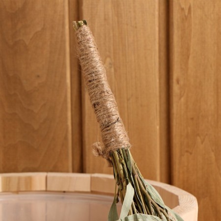 A broom for a bath eucalyptus with a braid, in Europros-3