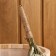A broom for a bath eucalyptus with a braid, in Europros