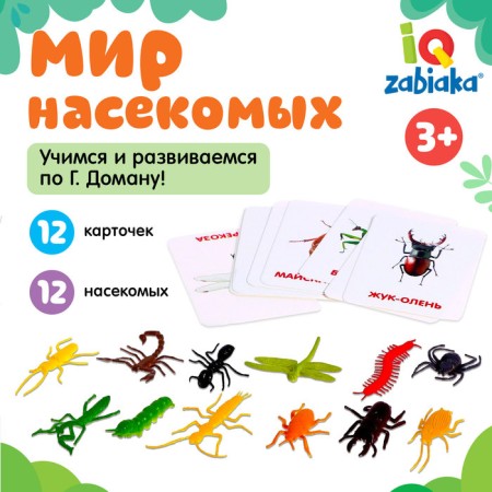 Developing set with cards "World of insects", according to the methodology of Doman