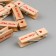 Decor for creativity Tree "Procher - for you" set 10 pcs