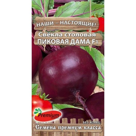 Seeds of beets dining peak lady F1, 1gr-2