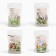 Set a warehouse for a bath 4 pcs "Anti -free, Altai collection, light breathing, strengthening"
