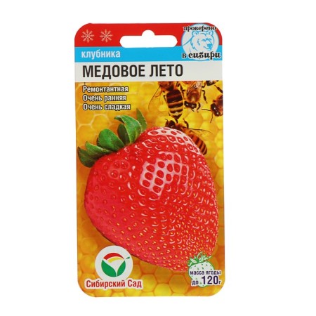 Strawberries "honey summer", 5 pcs