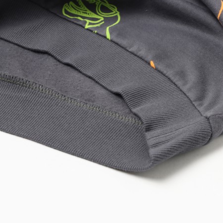 Sweatshirt for boys, graphite/dino color, height 110-3