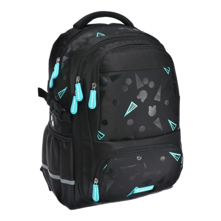School backpack by Ergon. Spin Erich Krause Schoolline 23L 48*30*16.5 Black Style 58714-1