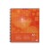 A notebook of 80 sheets cage on a spiral Erichkrause Spiralblock, cover coated cardboard, tough substrate, offset block, perforation, white 100%, mix