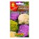 Seeds Cabbage Color "Gems", mixture, 0.2 g