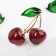 Brooch "Cherry" bulk, burgundy-green color in gold