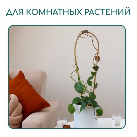 Arc for garter plants, 60 × 10 × 1 cm, bamboo, Greengo-1