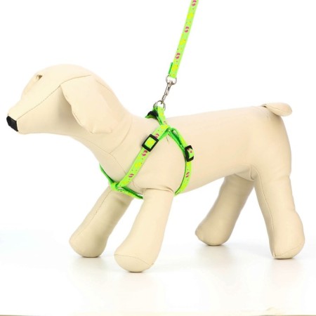 Set "Color Transes", leash 120 x 1 cm, fire 23-35 cm, green-1