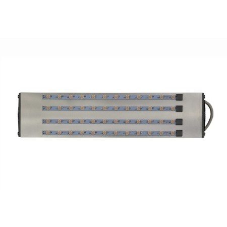 Fitopanel LED full -spectacular "Tabit" 144W