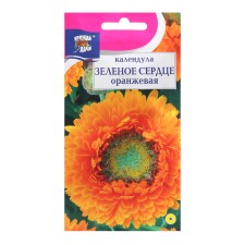 Calendula flowers 