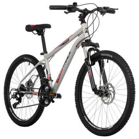 Bicycle 24 "Novatrack Action, Silver Color-1
