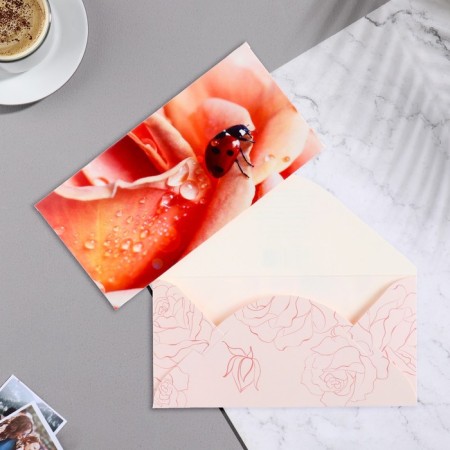 The envelope for the money "God's ladybug" 17x8.5 cm