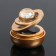 Assessoir on a panel with a flavor, gravitational rings, rotates from the sun, planet, gold