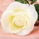 Artificial flowers "Gloria" 9x60 cm, white