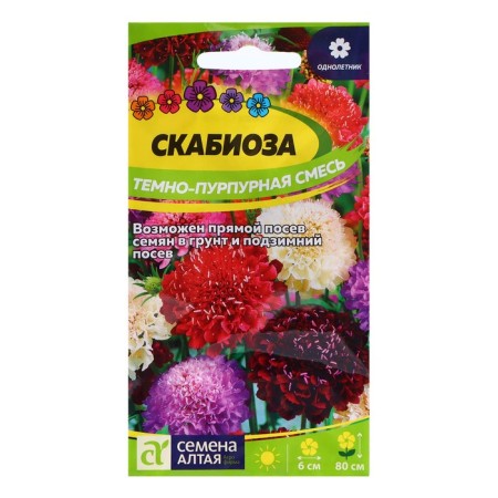 Scabiosis seeds "dark purple", 0.2 gr.