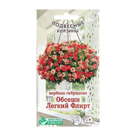 Verbena Flowers Hybrid "Obsash Light flirt", 8 pcs