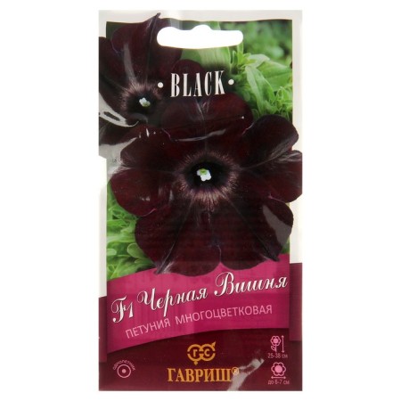 Petunia Fronts "Black Cherry" F1 multi -flowered, oh granules, test tube 4 pcs.-2
