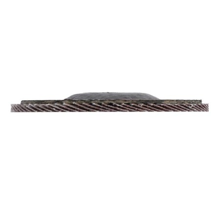 Circle of petal end scrap, 125 x 22 mm, p60-3