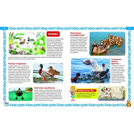 Big book about birds. Illustrated encyclopedia-6