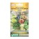 Cinnia flowers graceful magic beauty, mixture, 7 pcs