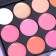 Palette of lip gloss from 15 shades