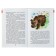 Extracurricular reading for the 1st class (collection)