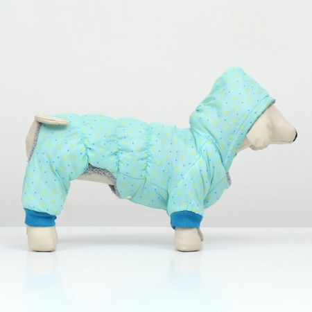 Kombinson "Tender Way" on the fur lining, size L (DS 35, Osh 35, OG 45 cm), Blue-3