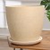 Flower pot "Beige bud №8", 22 l