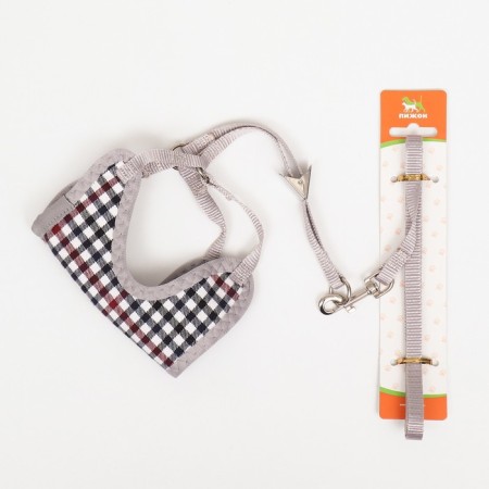 A set of ammunition with a soft harness, leash 120 x 1 cm, OG 34-58 cm, blue cage-9