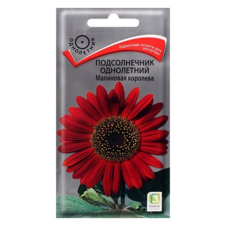 Flower seeds sunflower one -year -old "raspberry queen", 0.5 g
