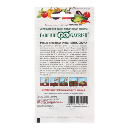 Seeds Radish "Elephant Fang", 2 g-1