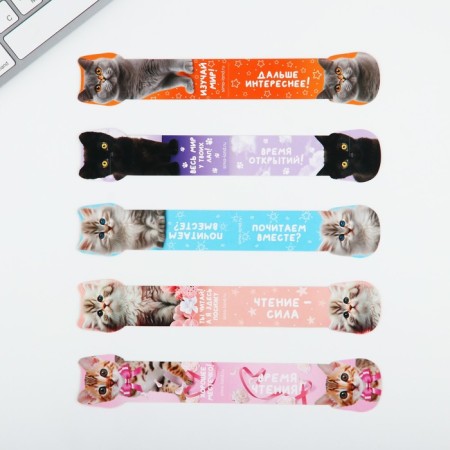 Cardboard Cardboard Set 5 pcs, voluminous "Open the world of knowledge"-3