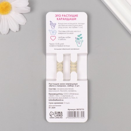 Growing gift pencils Mini "Mint and Paprika" set 2 pcs-1
