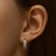 Cooping earrings admiration, white color in gold, d = 1.5 cm