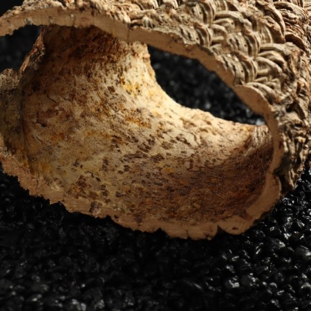 Shelter for terrarium, oak bark, d = 5 - 15 cm, length 15 cm-5