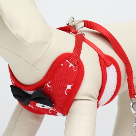 A set with a soft harness and a bow "anchor", size S, leash 120 x 1.5 cm, fire 23-42 cm, red-4