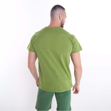 Male T -shirt, Haki Mix color, size 46-4