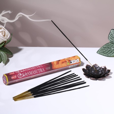 Incense hem "kamasutra. Kamasutra", 20 sticks in packaging, hexagon