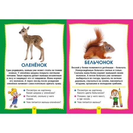 Cubs of animals. Photo book for the smallest-3