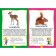 Cubs of animals. Photo book for the smallest