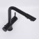 Kitchen mixer Wasserkraft A8367, double -leaf, with access to drinking, black