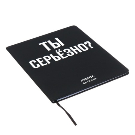 Universal diary for grade 1-11 "Are you serious?", Integral cover, artificial leather, silk-screen printing, Lyxa, 80 g/m2-1