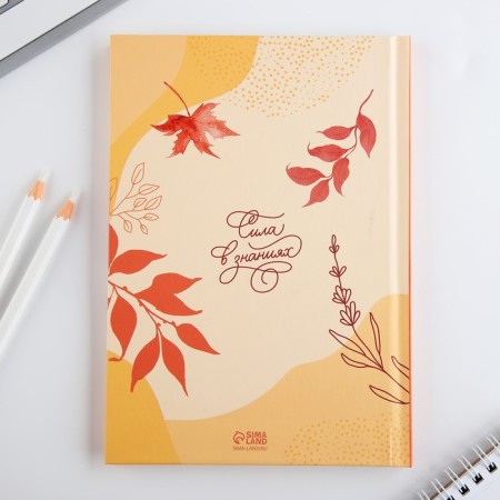 Diary A5, 80 liters, solid cover of the "class teacher"-4