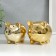 Piggy bank Ceramics "Smiling Pig" MIX 10x7.5x9 cm