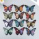 Magnet Plastic "Butterfly. Halloween" set 12 pcs mix 10 cm