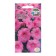 Simona Petunia flowers, Euro, 10 pcs