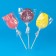 Caramel Lollice "Flowers Botanical" on a stick, 30 g
