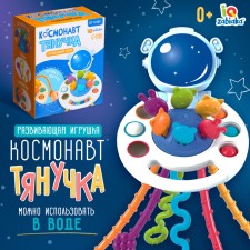 Developing toy 